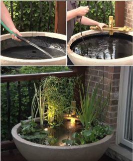 Diy Garden Ideas - How To Make – Diy