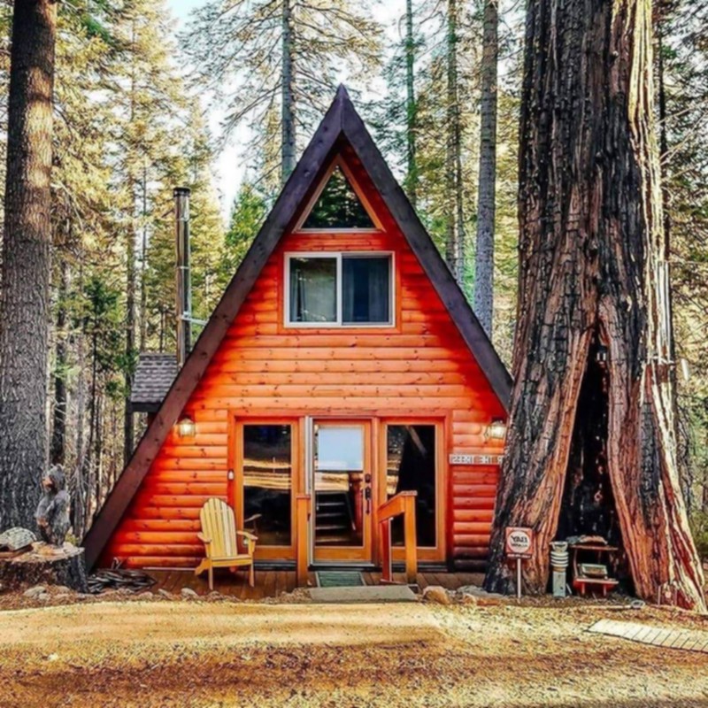 26 Modern wooden cabin styles for 2023: Embrace nature with ...