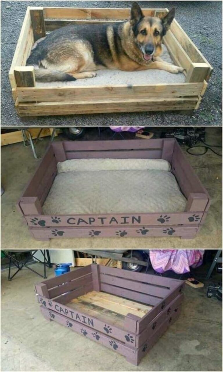 20 Easy DIY Pallet Dog Bed Ideas - HOW TO MAKE – DIY